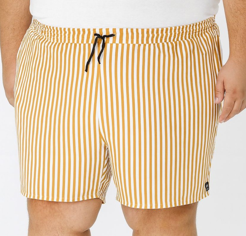 Shorts Elastano Listrado Plus Size Tormenta