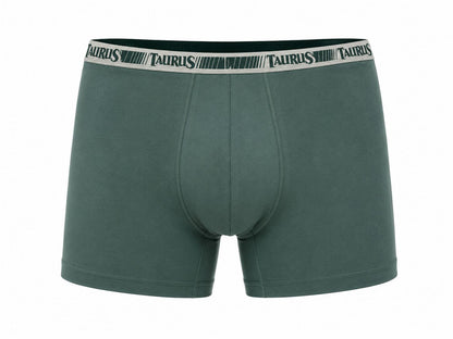 Cueca Boxer Adulto Algodão Taurus